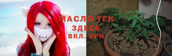 СК Алексин