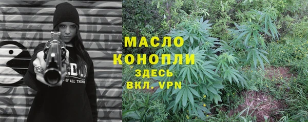 СК Алексин