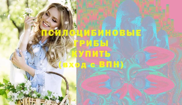 СК Алексин