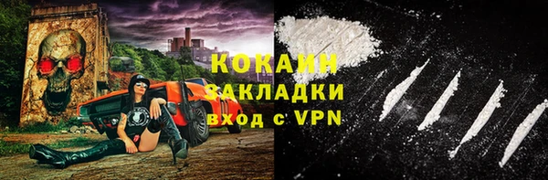 дживик Зеленокумск