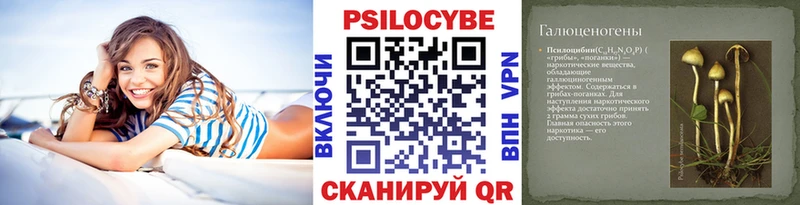 Галлюциногенные грибы прущие грибы  Дмитров 